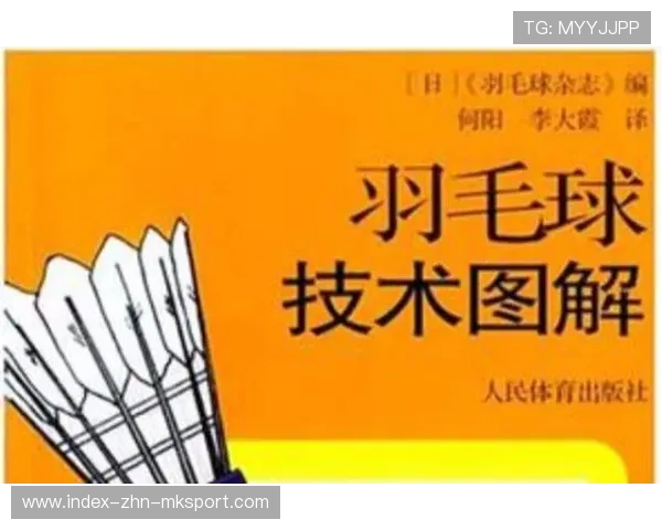 羽毛球国家队比赛分析平台提高技战术落地效率