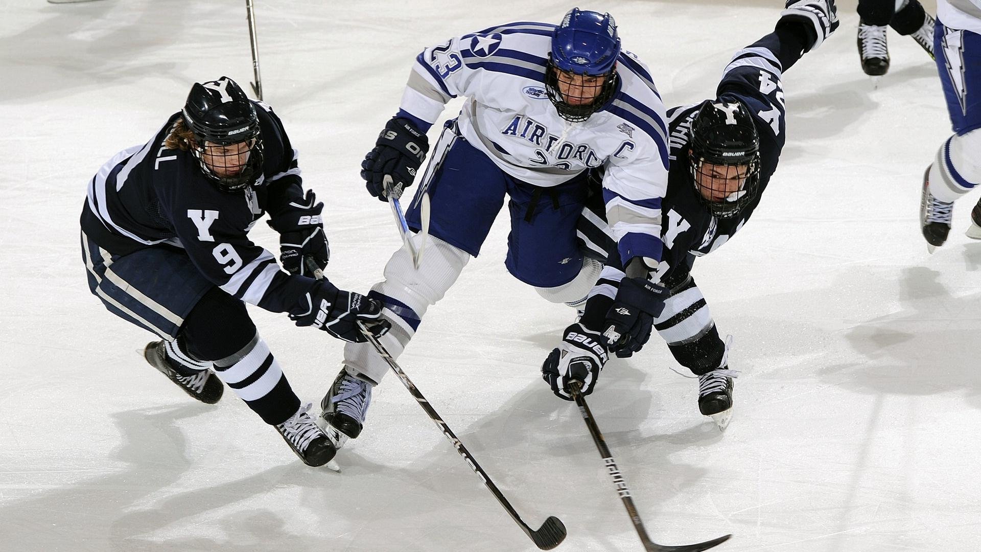 游泳赛事观众人数持续增长